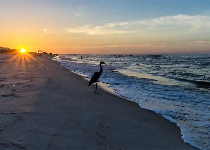 Sandpiper 12a-beach Blessings-beachside Condo-low Density-seasonally Heated Pool Gulf Shores